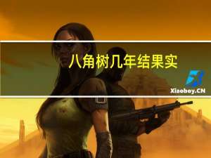 八角树几年结果实