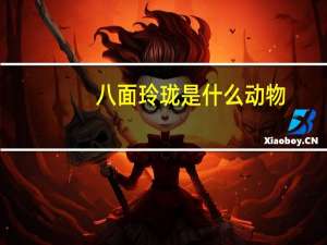 八面玲珑是什么动物