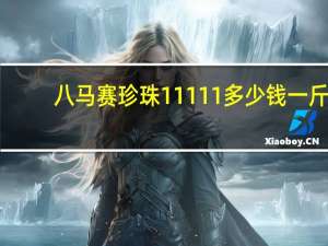 八马赛珍珠11111多少钱一斤（八马赛珍珠）