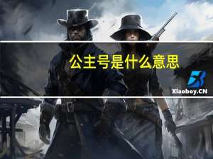 公主号是什么意思