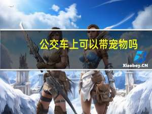 公交车上可以带宠物吗