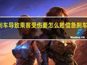 公交车急刹车导致乘客受伤要怎么赔偿 急刹车公交车他进去了