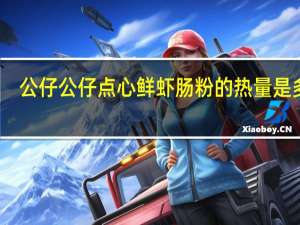 公仔 公仔 点心鲜虾肠粉的热量是多少