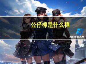公仔棉是什么棉
