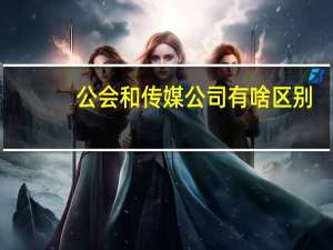 公会和传媒公司有啥区别