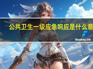 公共卫生一级应急响应是什么意思