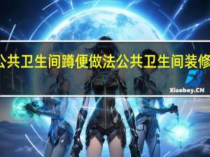 公共卫生间蹲便做法 公共卫生间装修效果图