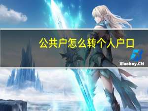 公共户怎么转个人户口