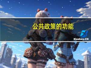 公共政策的功能