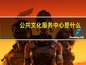 公共文化服务中心是什么