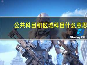 公共科目和区域科目什么意思