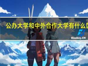 公办大学和中外合作大学有什么区别