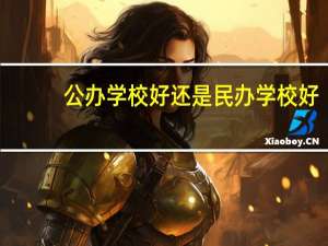公办学校好还是民办学校好