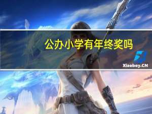 公办小学有年终奖吗