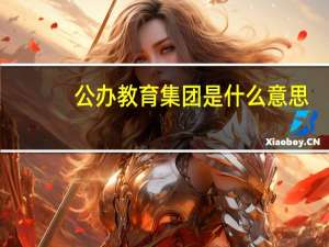 公办教育集团是什么意思