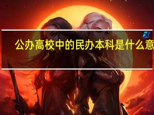 公办高校中的民办本科是什么意思