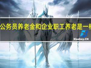 公务员养老金和企业职工养老是一样的吗