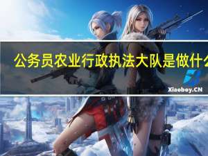 公务员农业行政执法大队是做什么的