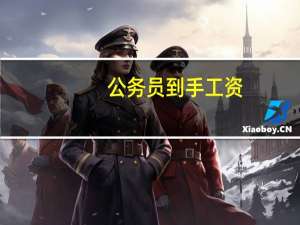 公务员到手工资