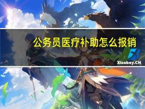 公务员医疗补助怎么报销