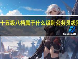 公务员十五级八档属于什么级别 公务员级别工资标准表