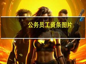 公务员工资条图片（公务员工资条明细）