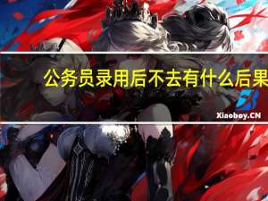 公务员录用后不去有什么后果