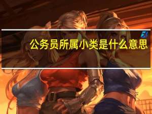 公务员所属小类是什么意思