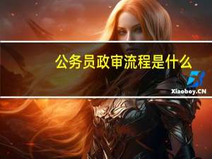 公务员政审流程是什么