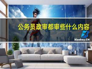 公务员政审都审些什么内容