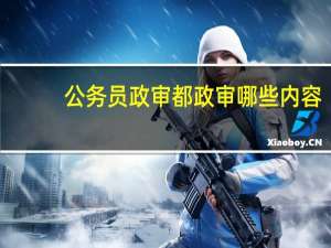公务员政审都政审哪些内容