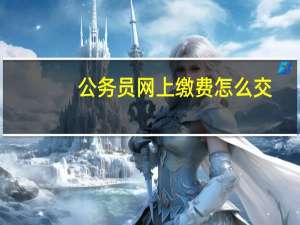 公务员网上缴费怎么交