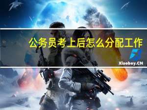 公务员考上后怎么分配工作