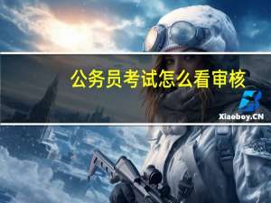 公务员考试怎么看审核