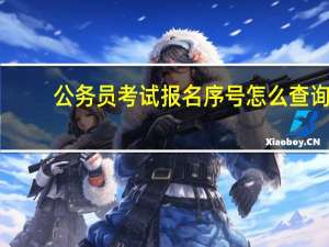 公务员考试报名序号怎么查询