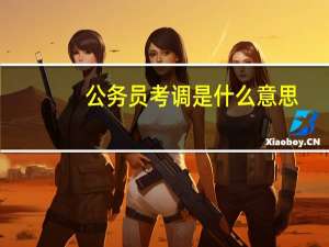 公务员考调是什么意思