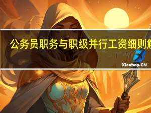 公务员职务与职级并行工资细则解读（公务员职务与职级并行工资细则）