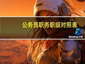 公务员职务职级对照表