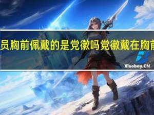 公务员胸前佩戴的是党徽吗 党徽戴在胸前什么位置