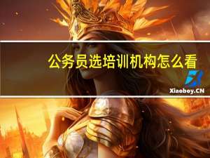 公务员选培训机构怎么看