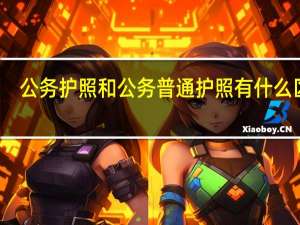 公务护照和公务普通护照有什么区别