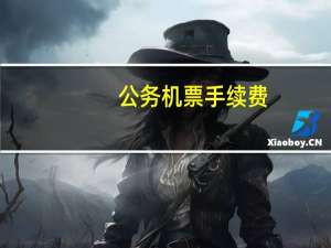 公务机票手续费