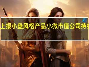 公募密集上报小盘风格产品小微市值公司持续迎来增量资金