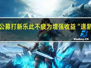 公募打新乐此不疲为增强收益“逢新必打”