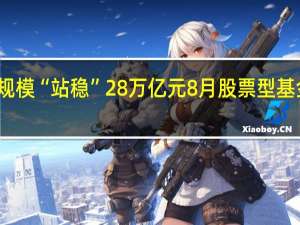 公募规模“站稳”28万亿元 8月股票型基金逆势增长