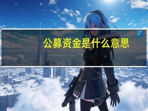 公募资金是什么意思？与私募资金有什么不同？