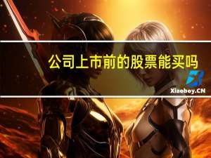 公司上市前的股票能买吗