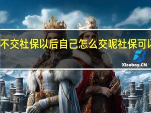 公司不交社保以后自己怎么交呢 社保可以自己交吗