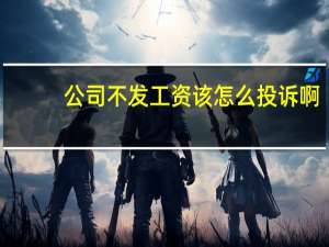 公司不发工资 该怎么投诉啊