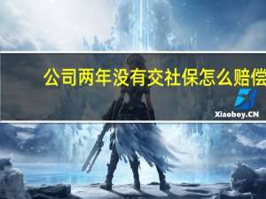 公司两年没有交社保怎么赔偿